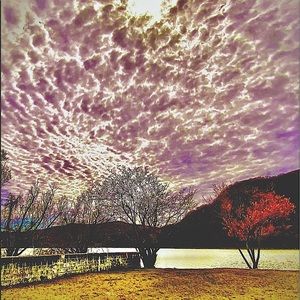 COPY - Photo Visions by  SJaneDiana Photog…